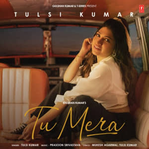 Tu Mera Poster